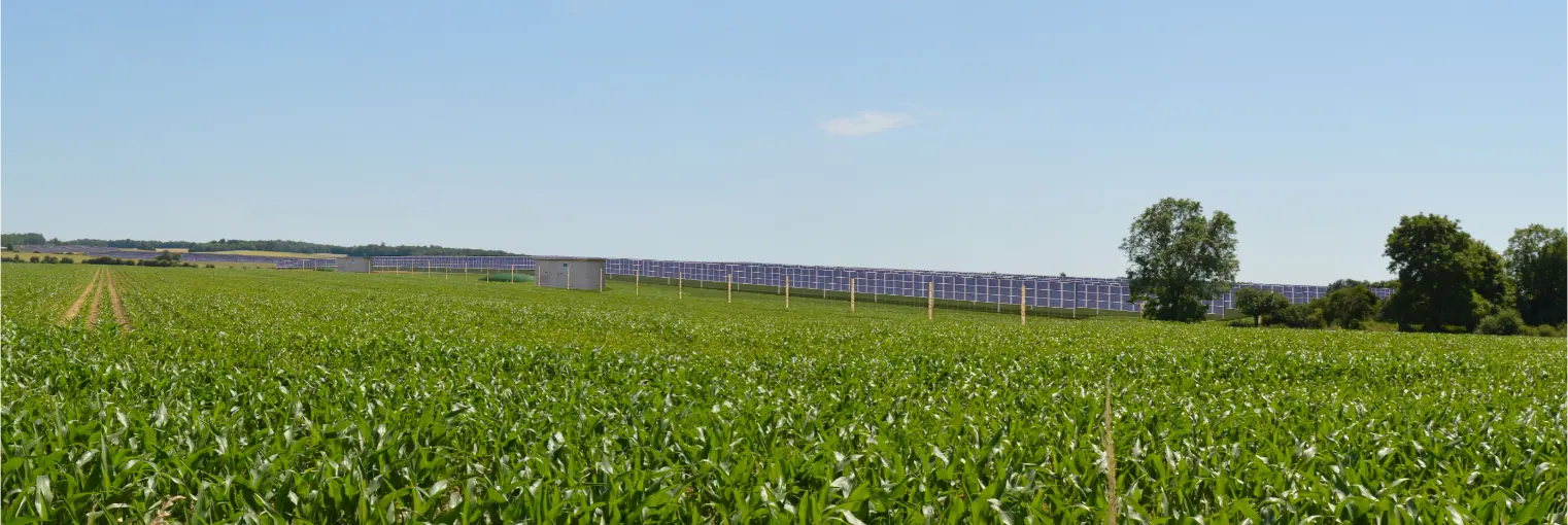 photomontage-after 1