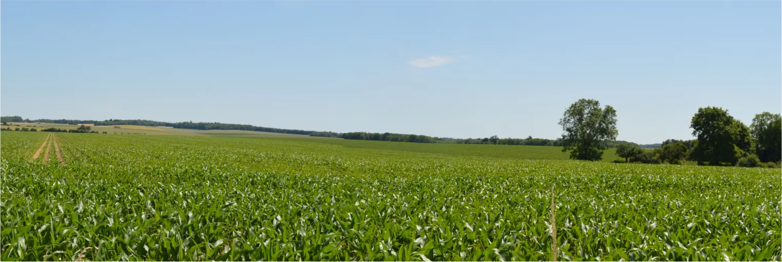 photomontage-before 1